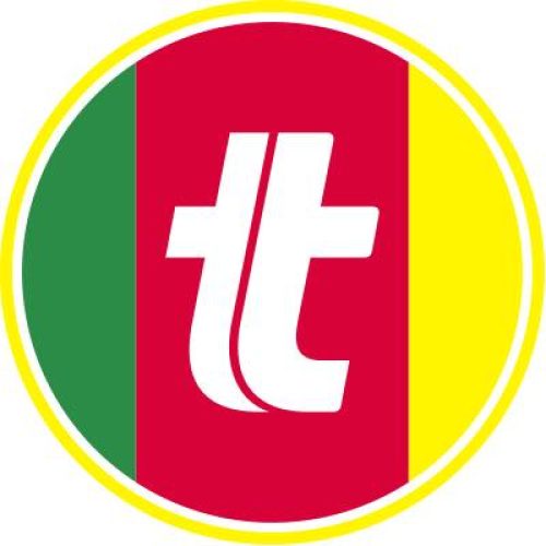 rs-inovador-tumelero-materiais-construcao-casa-midia-kit-publicidade-marketing-agencia-leads-vendas-lancamento-rede-brasil